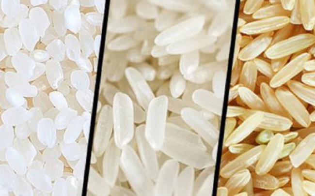 <h3>Các loại gạo khác nhau và cách sử dụng phù hợp</h3>